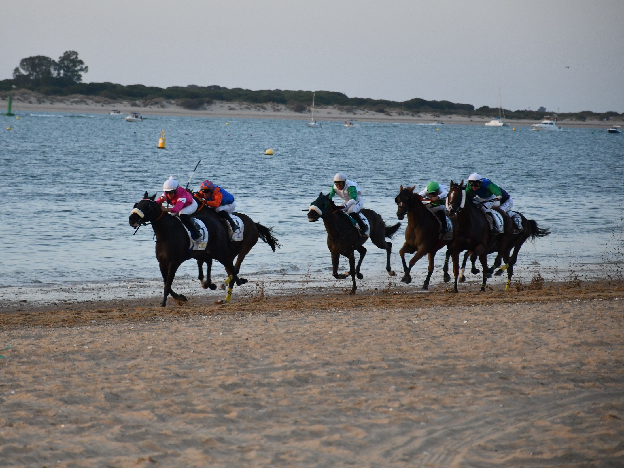carreras de caballos de sanlúcar (2)