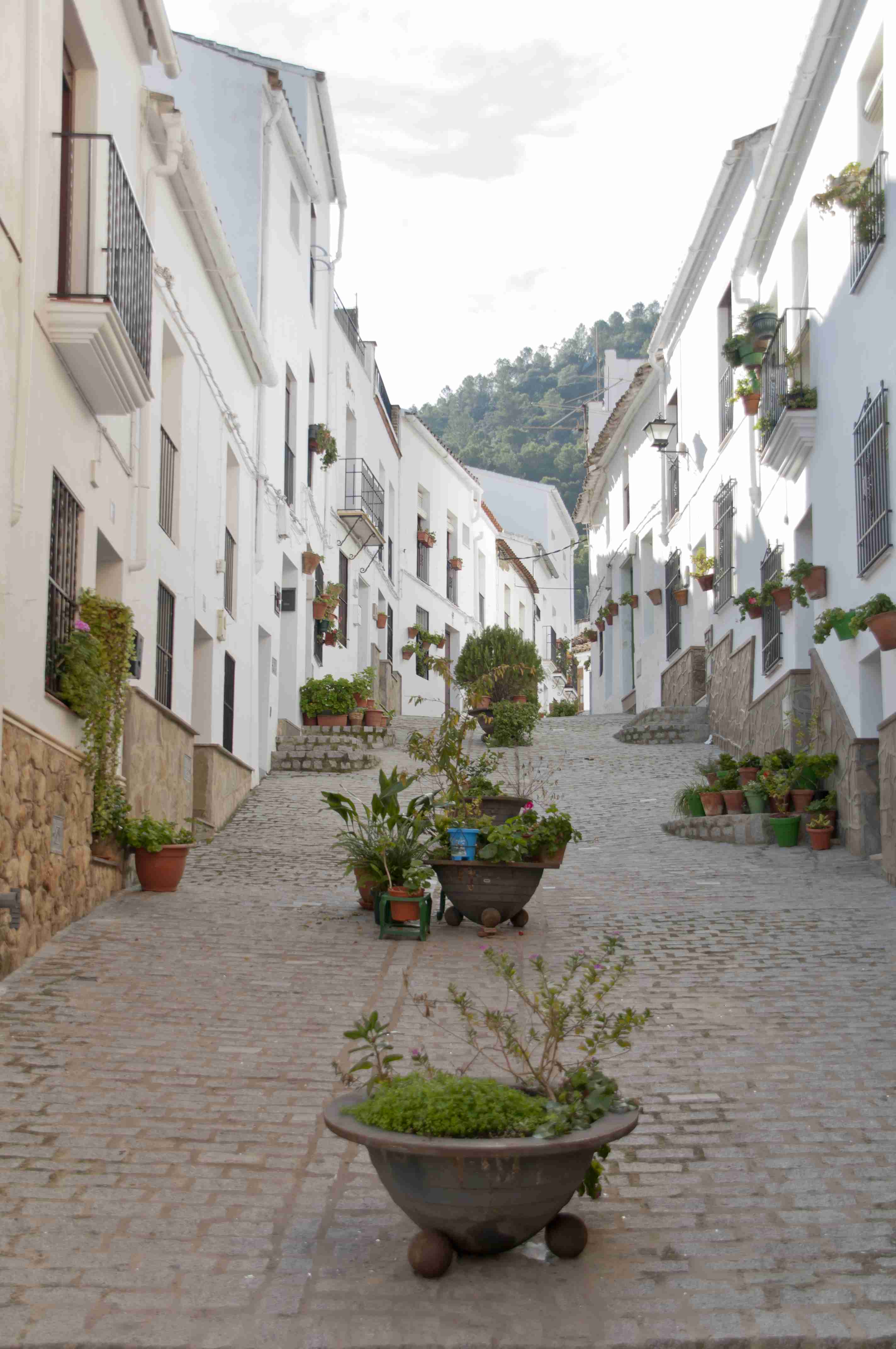 CalleTipica1