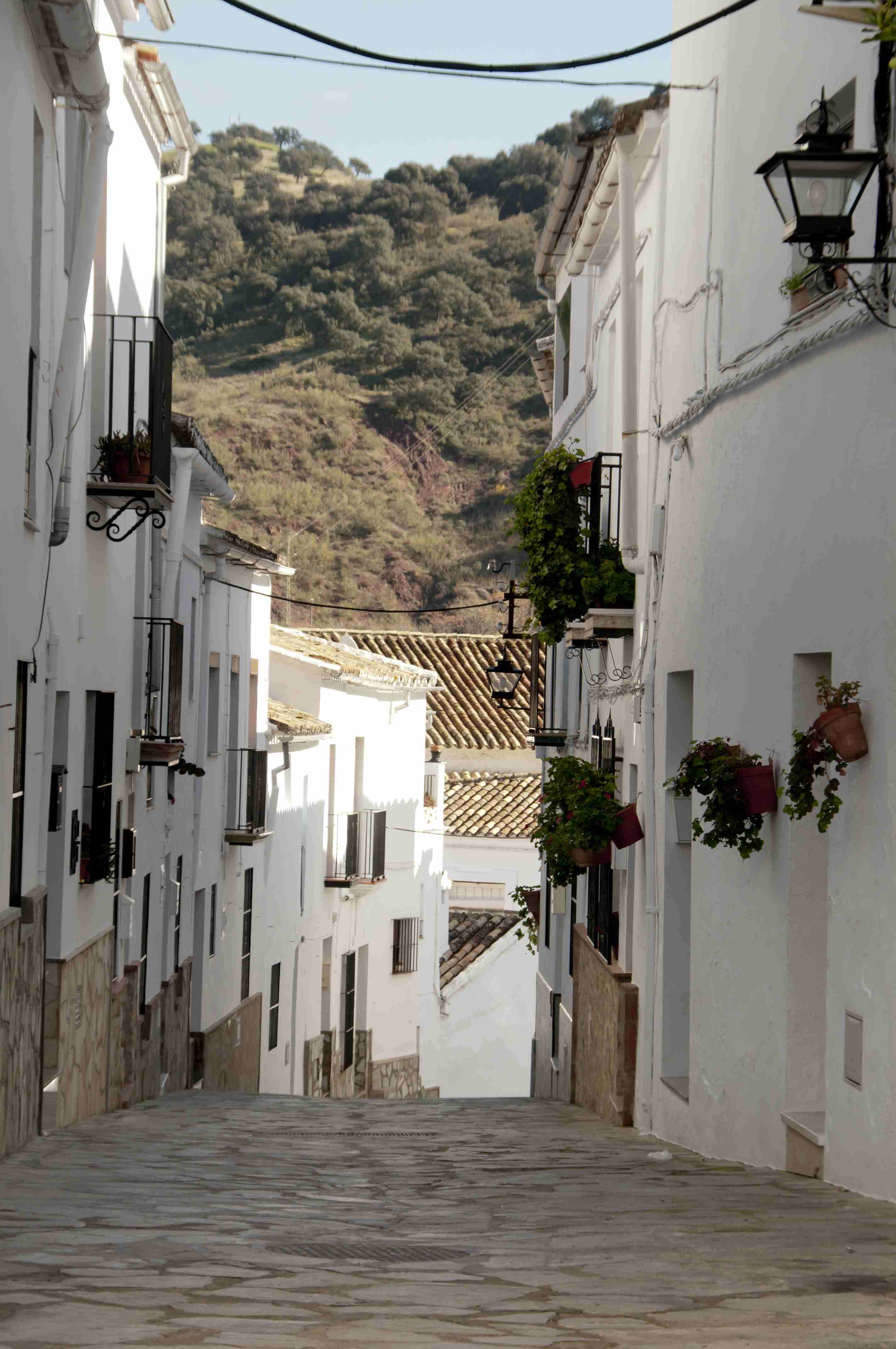 CalleTipica4