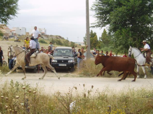 EncierrosCallejeros1