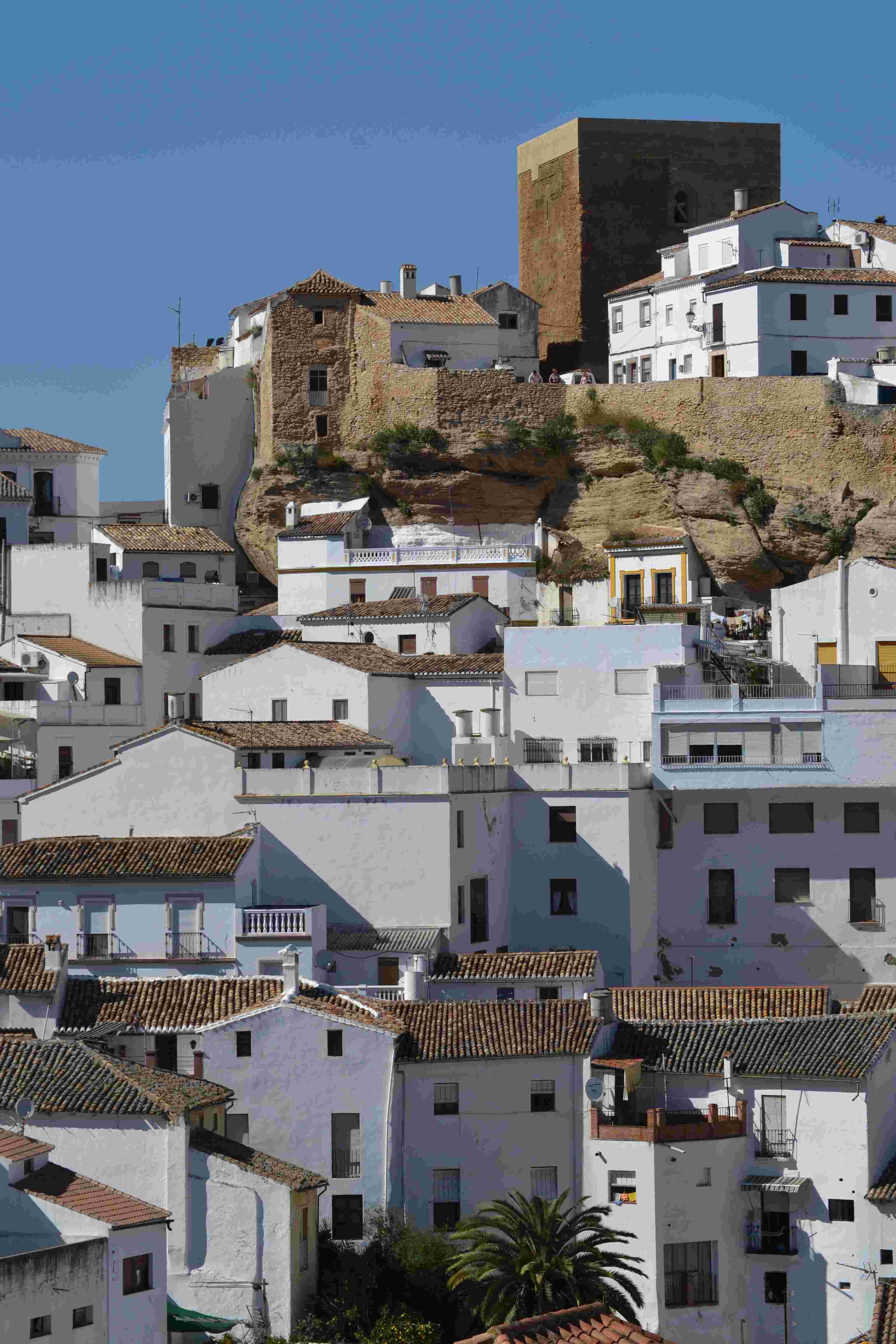 TorreHomenaje1