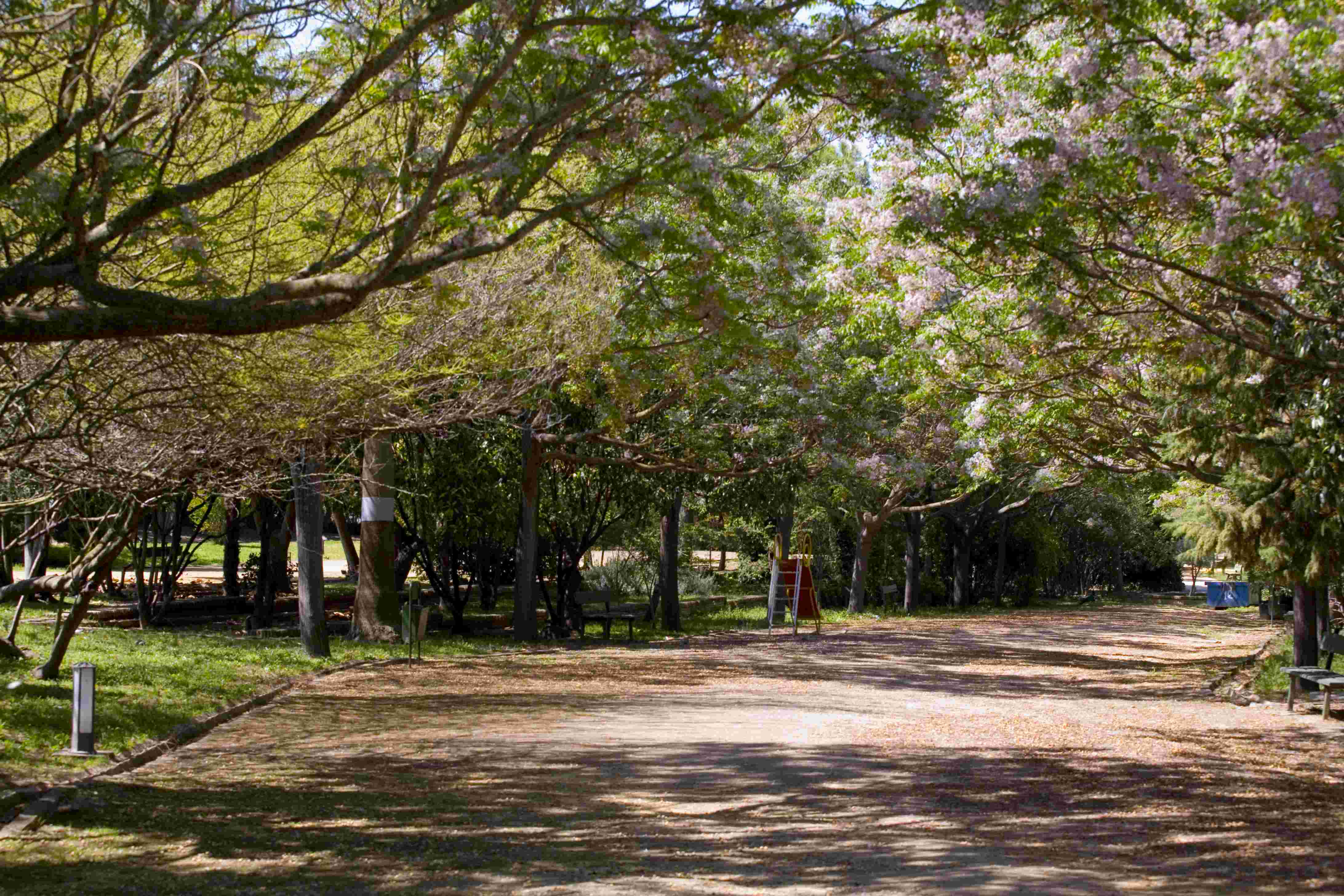 ParqueLaToya4