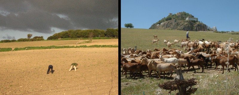 59_Tormenta_Cabrero