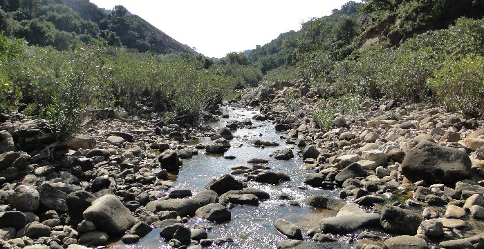 hozgarganta