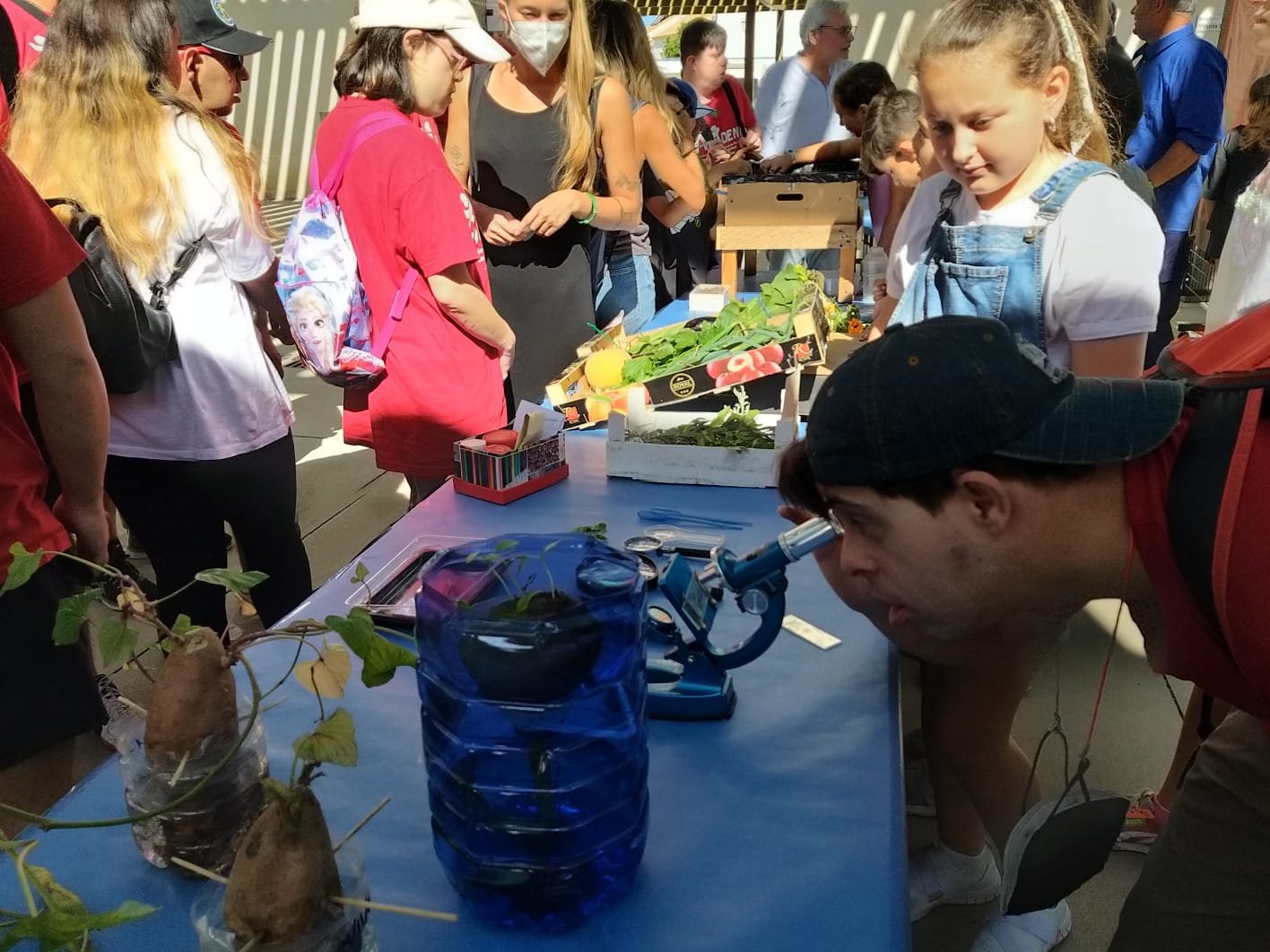 Mercadillo en la clausura de los huertos escolares