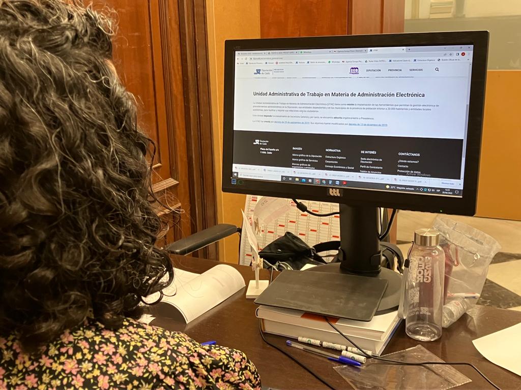 comsulta a la web de Diputacion