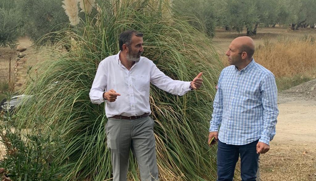 pizarro y aguilera 
