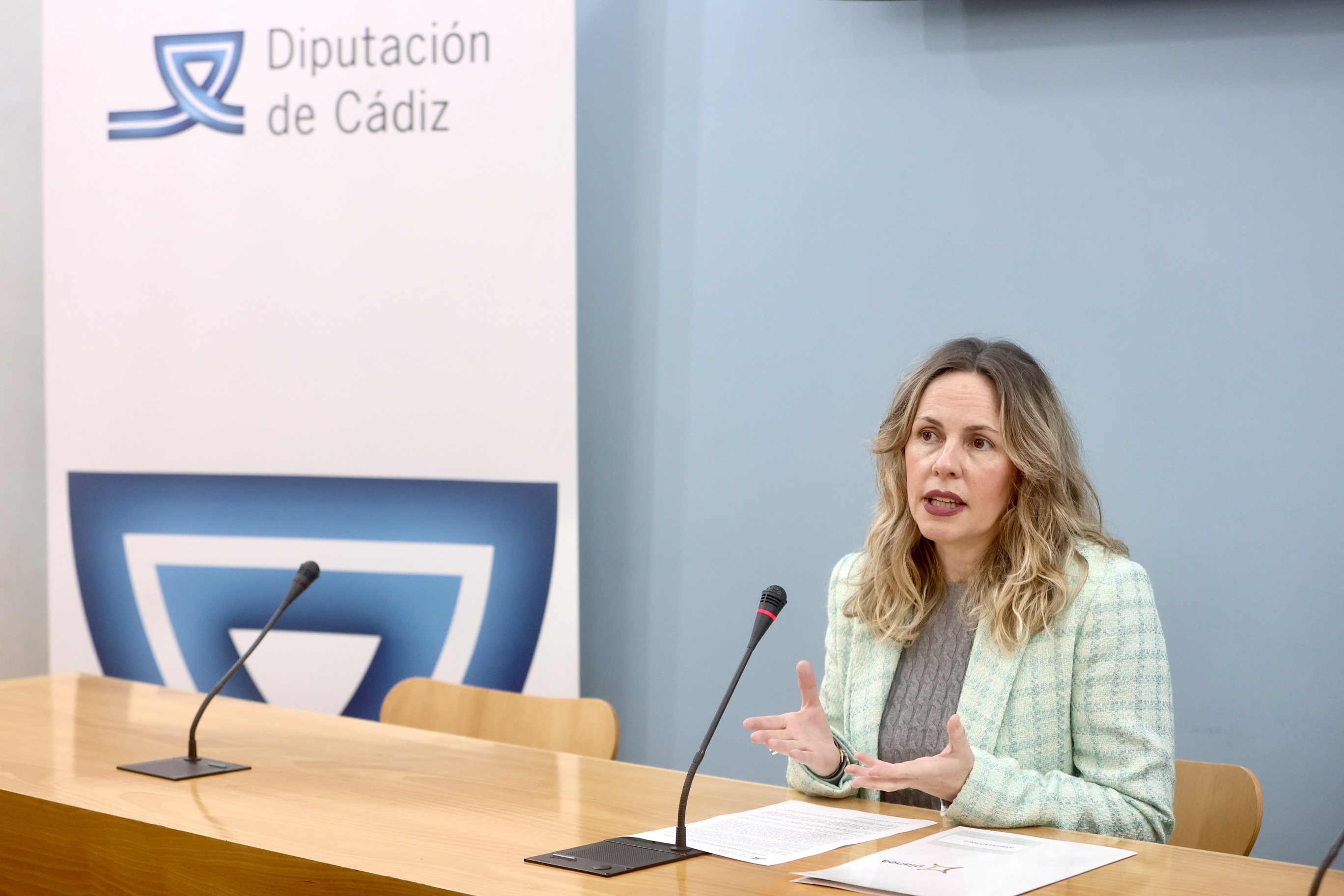 La diputada de Cultura, Vanesa Beltrán