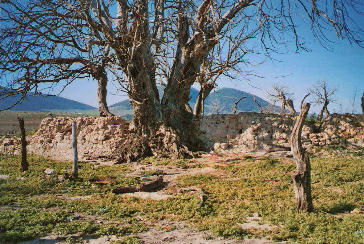 Ermita del Mimbral_foto publicada en el mapa de fosas