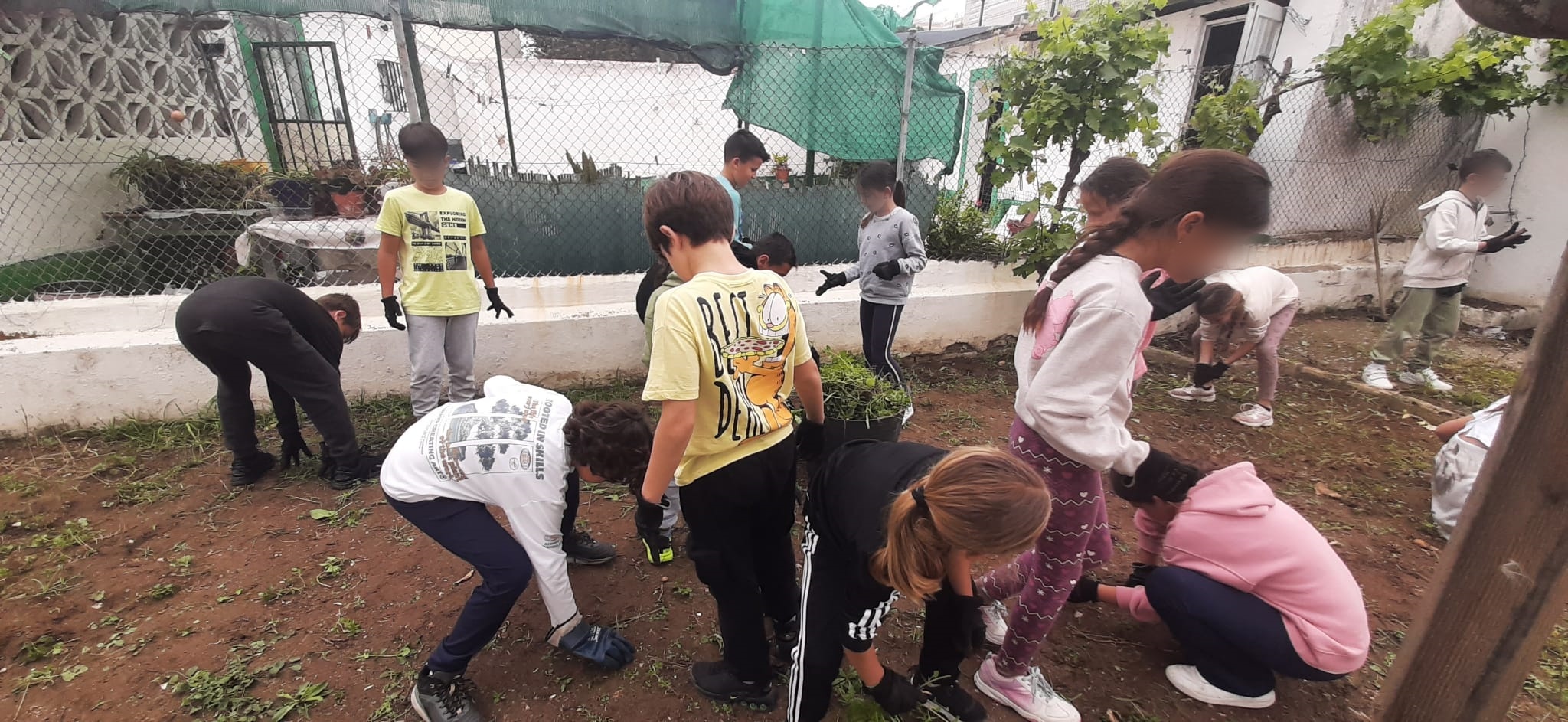 Huerto San Fernando (1)