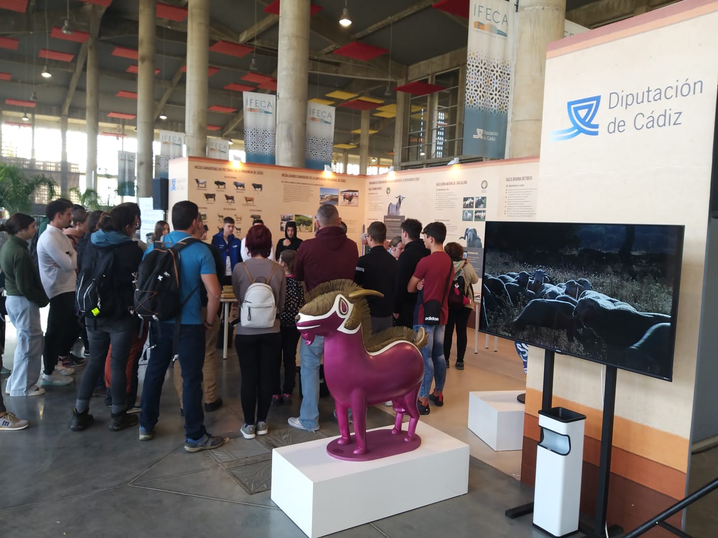 Estand de la Diputación en Fegasur
