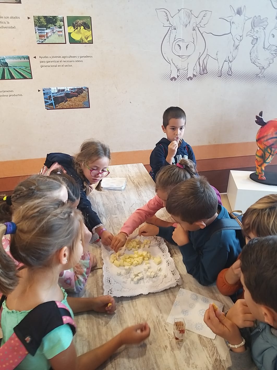 visitas escolares (11)